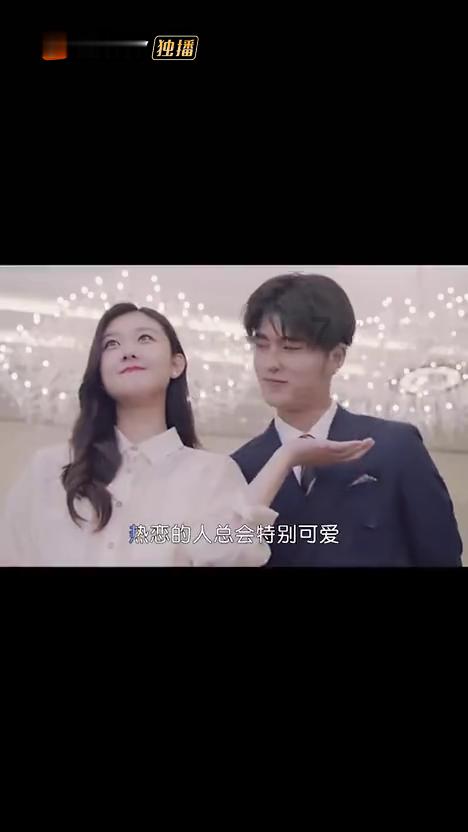 救援小肥兔